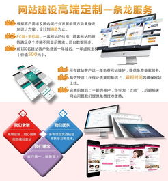 青岛网站建设与小程序开发 蚁诺科技与诺必达网络的专业之道