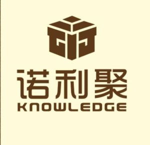 广西诺利聚网络科技 诺必达网络，驱动数字未来的创新力量