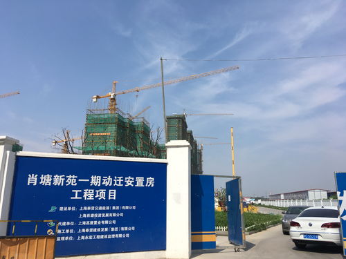 使命必达 建筑港 推进上海